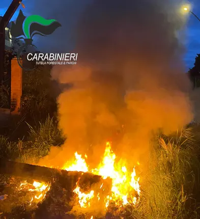 La colonna di fumo sospetta: l'istantanea che ha portato all'intervento dei Carabinieri Forestali Prova schiacciante: l'immagine della combustione illecita usata per la denuncia